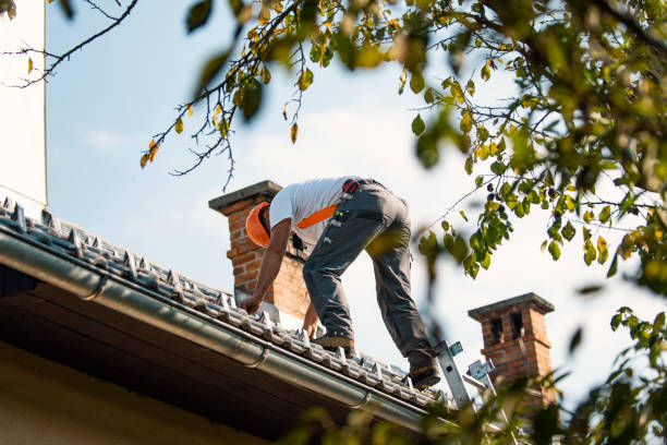 Best Gutter Installation and Roofing  in Evadale, TX