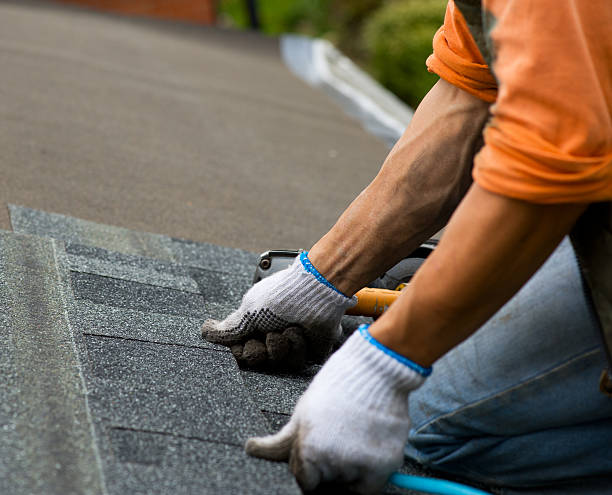 Best Local Roofing Companies  in Evadale, TX