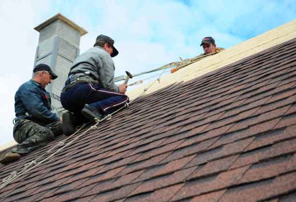 Best Metal Roofing Contractor  in Evadale, TX