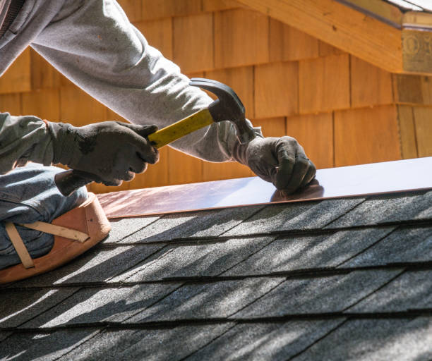 Best Roof Gutter Cleaning  in Evadale, TX